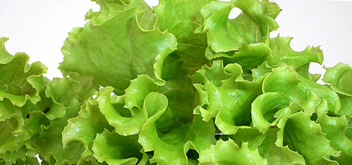 Салатовый листья