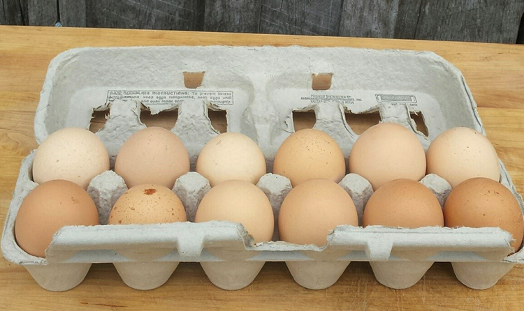 Упаковка куриных яиц