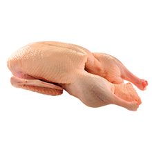 Мясо утки — польза и вред для организма