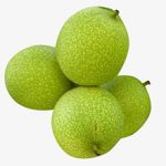 Зеленые грецкие орехи: польза и вред