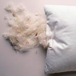 Перьевые подушки: чем вредны и чем полезны