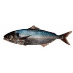 Рыба саворин — польза и вред