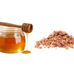 Мед или перга — что более полезно?