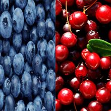 Какая ягода полезнее черника или брусника?