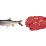 Что полезнее кушать рыбу или мясо