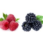 Малина или ежевика — какая ягода полезнее?