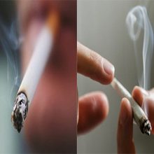 Что вреднее для организма сигареты или марихуана