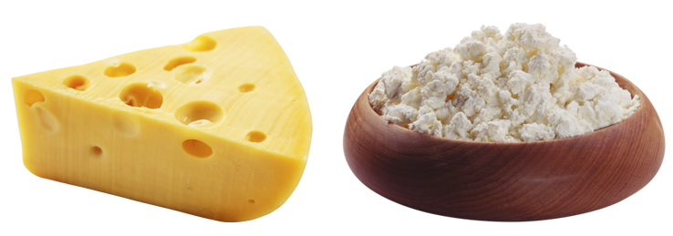 Сыр или творог что полезнее
