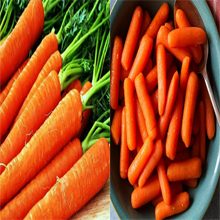 Какая морковь полезнее вареная или сырая