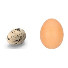 Какие яйца полезнее перепелиные или куриные?