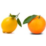 Что полезнее кушать лимон или апельсин